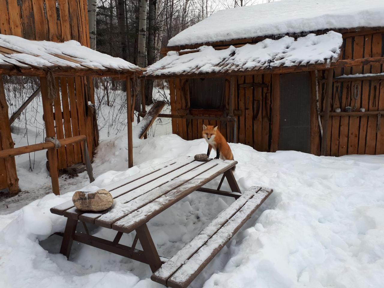 Hebergement De La Montagne St-Roch Saint Roch de Mekinac 외부 사진